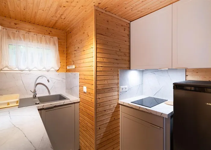 Proxial - Letniskowe Domek letniskowy *